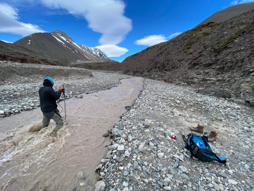 Measuring discharge in front of Bertil glacier. A person stands in a turbid river facing upstream and holding a pole vertically.
